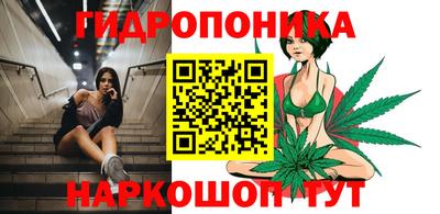спиды Кандалакша