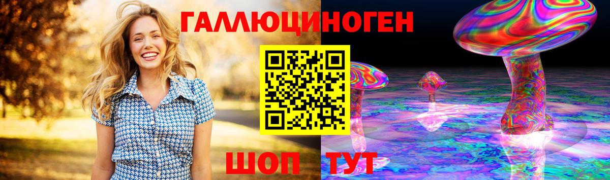 Курчалой  Галлюциногенные грибы Psilocybe  Вход с VPN 